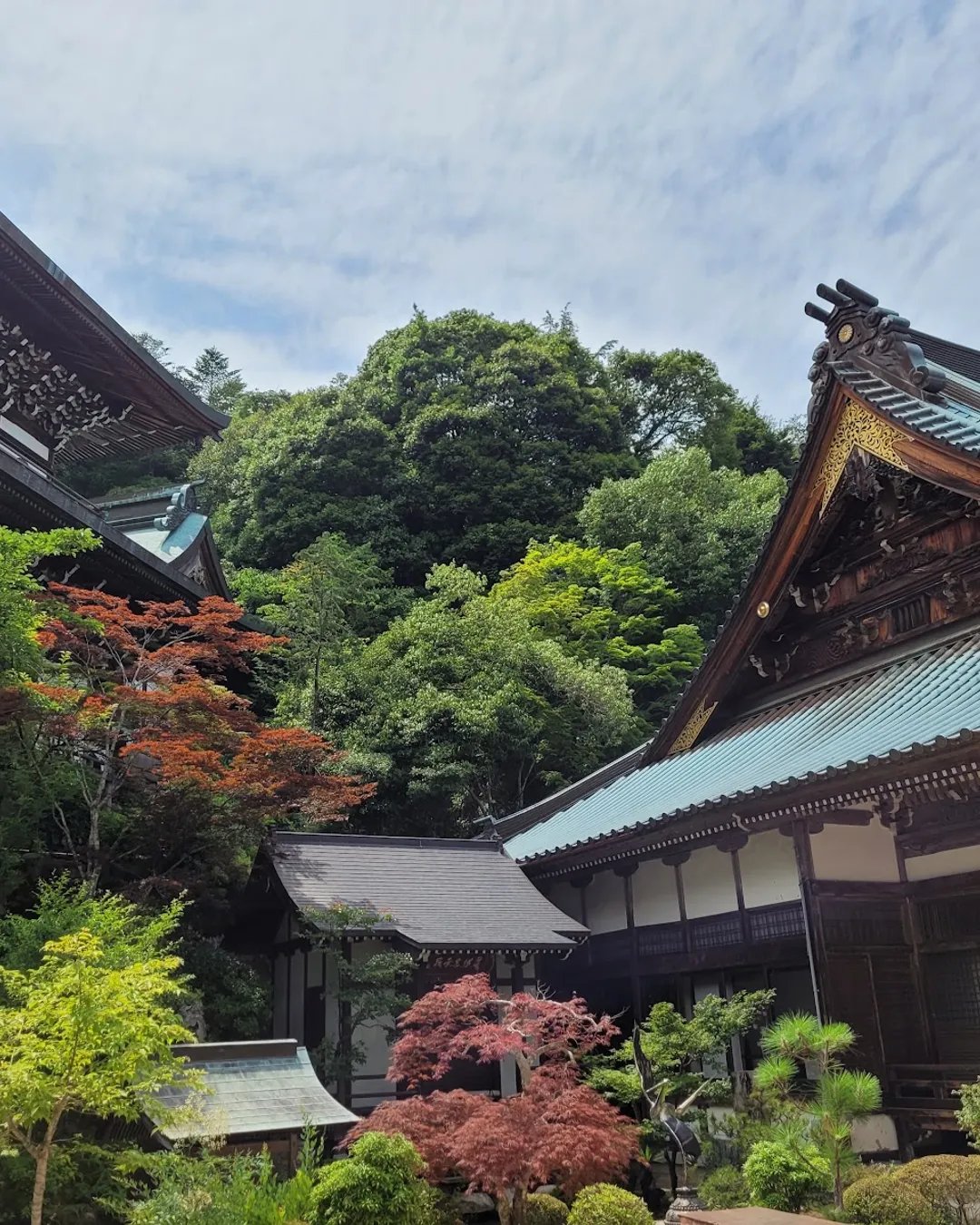 ⛩️ 영춘산 대조원(레이신잔 다이쇼인) 이미지 4